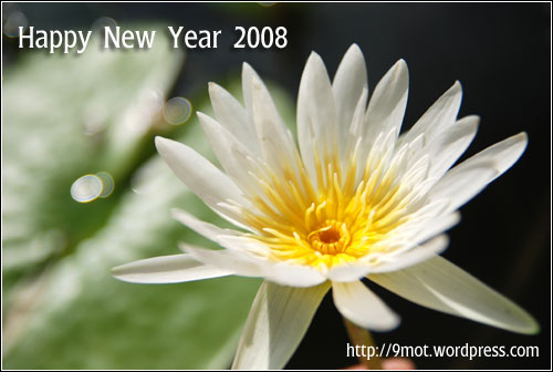 happy-new-year-2008.jpg